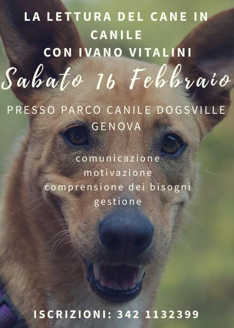 Lettura dei cani con Ivani Vitalini – 16 febbraio