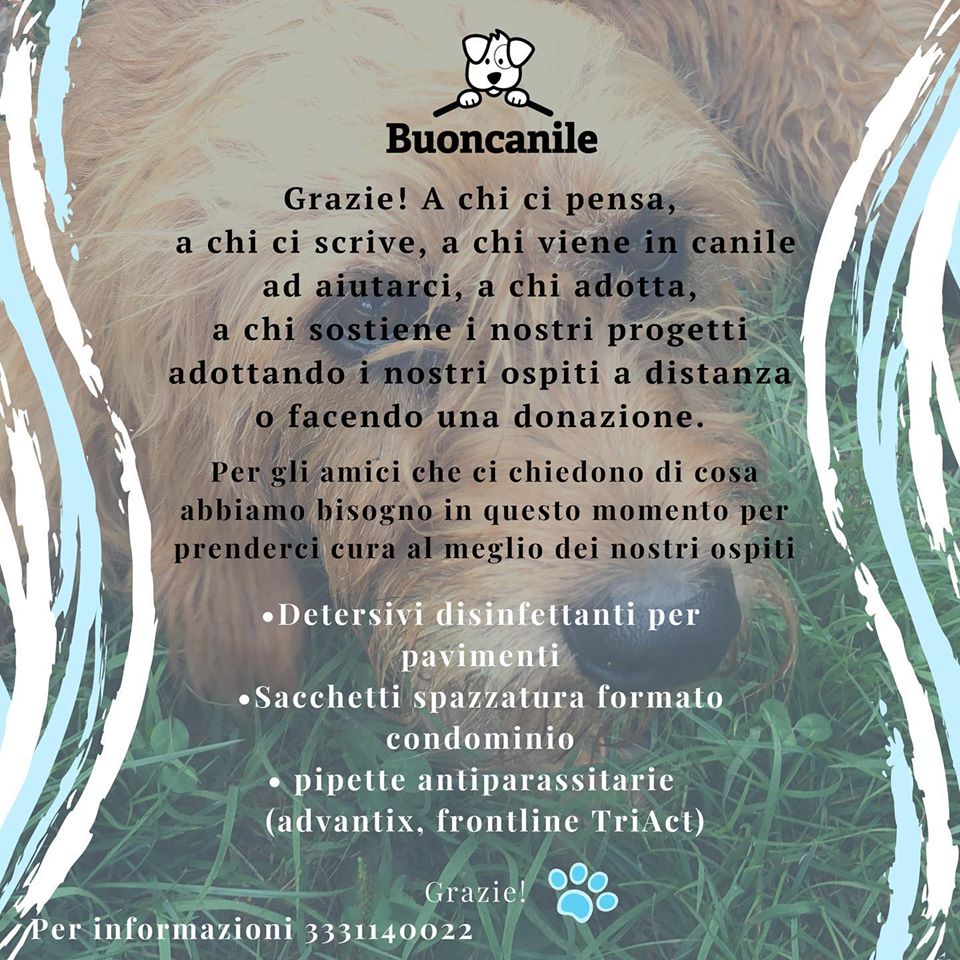 Come aiutarci
