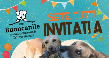 Buoncanile in Festa – 7 maggio
