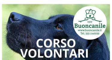 CORSO PER VOLONTARI DI CANILE – 26 NOVEMBRE