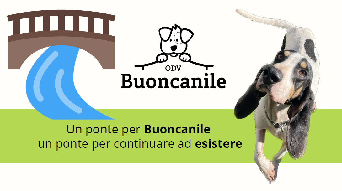 Un ponte per Buoncanile