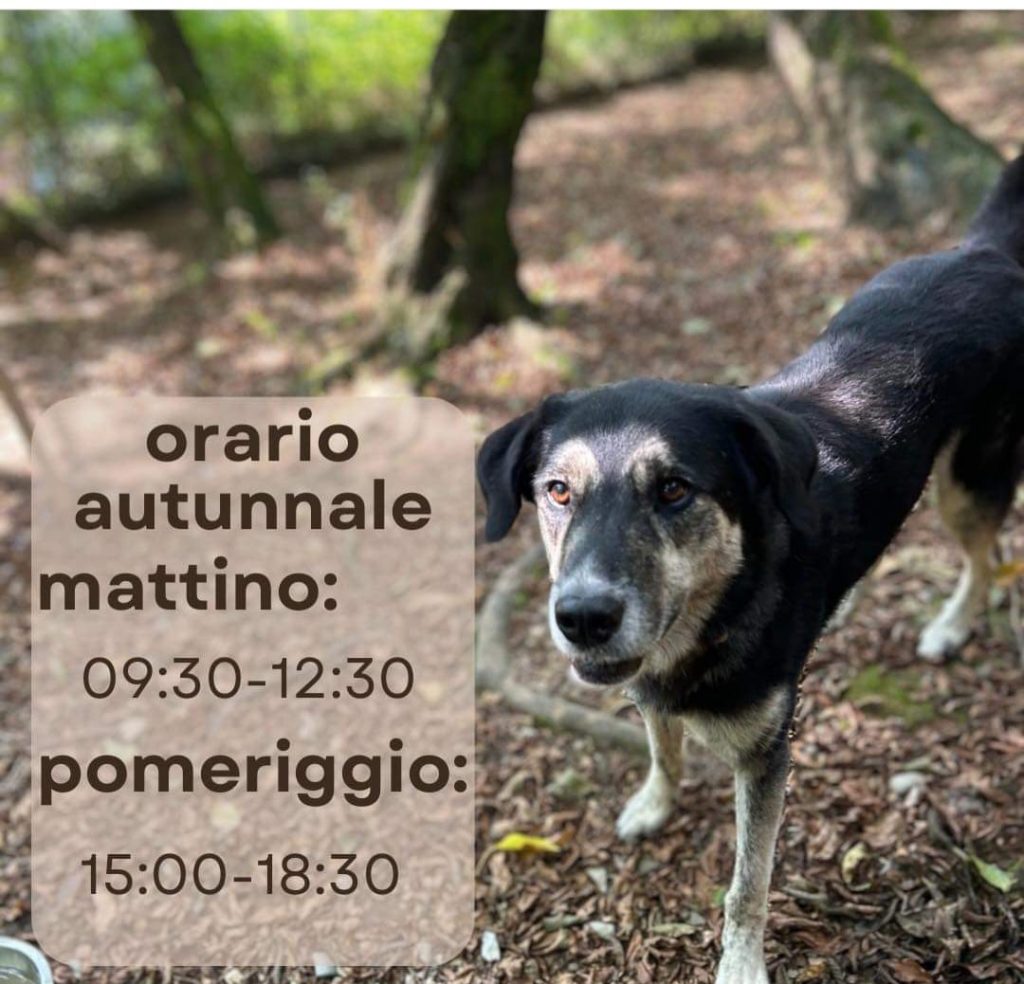 Orario autunnale in vigore: