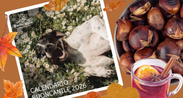 Presentazione Calendario Buoncanile 2026
