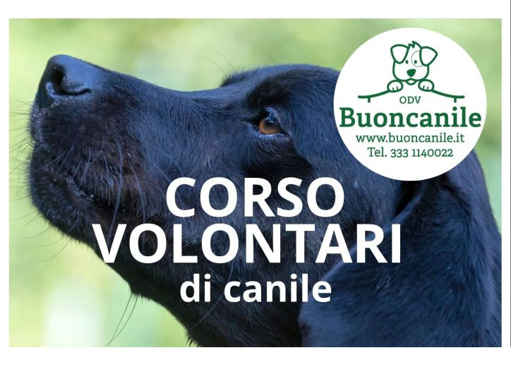 Corso per volontari di canile 2026