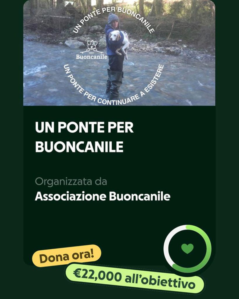 Un ponte per Buoncanile