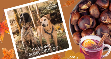 Presentazione Calendario Buoncanile 2027